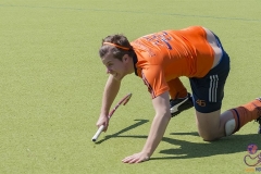 DC -- HGM - TLHC98 (Small)