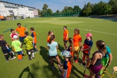 DSC_7233 Kopie DSC_7233 Kopie