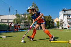 DSC_7242 Kopie DSC_7242 Kopie