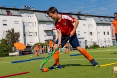 DSC_7252 Kopie DSC_7252 Kopie