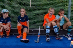 DSC_7264 Kopie DSC_7264 Kopie