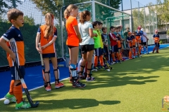 DSC_7281 Kopie DSC_7281 Kopie