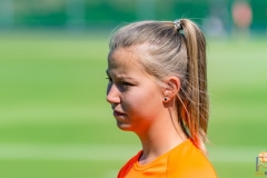 DSC_7292 Kopie DSC_7292 Kopie