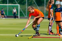 DSC_7300 Kopie DSC_7300 Kopie