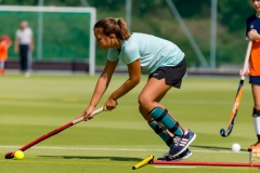 DSC_7305 Kopie DSC_7305 Kopie