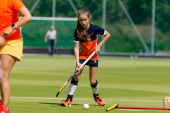 DSC_7307 Kopie DSC_7307 Kopie