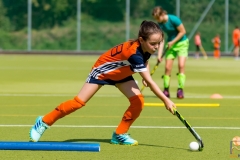 DSC_7309 Kopie DSC_7309 Kopie