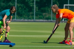 DSC_7312 Kopie DSC_7312 Kopie