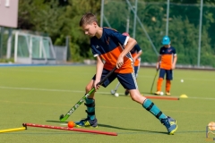 DSC_7318 Kopie DSC_7318 Kopie