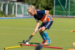 DSC_7320 Kopie DSC_7320 Kopie