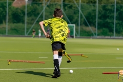 DSC_7332 Kopie DSC_7332 Kopie