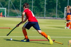 DSC_7336 Kopie DSC_7336 Kopie