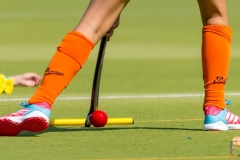 DSC_7347 Kopie DSC_7347 Kopie