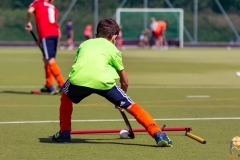 DSC_7352 Kopie DSC_7352 Kopie