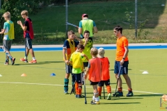 DSC_7365 Kopie DSC_7365 Kopie