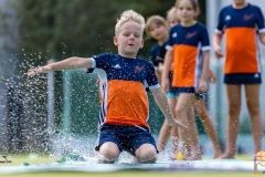 DSC_7395 Kopie DSC_7395 Kopie