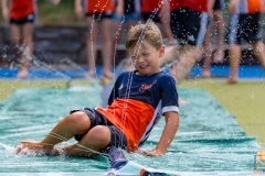 DSC_7637 Kopie DSC_7637 Kopie