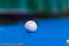 Sommer-Hockey-Camp-2017_198