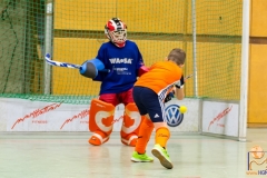 DSC_2685 Kopie