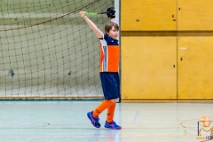 DSC_2910 Kopie