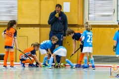 DSC_2929 Kopie