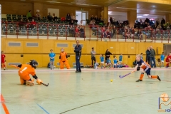 DSC_3060 Kopie