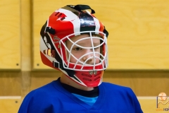 DSC_3090 Kopie