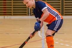 DSC_1337 Kopie