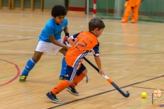 DSC_2017 Kopie