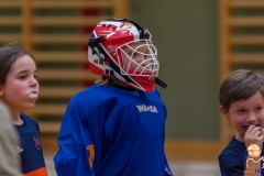 DSC_2100 Kopie