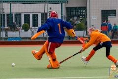 DSC_3546 Kopie