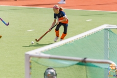 DSC_3662 Kopie