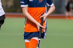 DSC_3681 Kopie