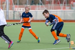 DSC_3726 Kopie