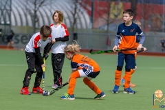 DSC_3761 Kopie