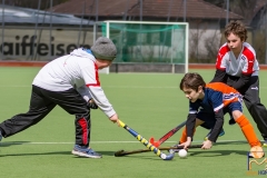 DSC_3855 Kopie