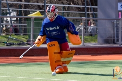 DSC_4422 Kopie