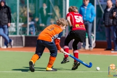 DSC_4637 Kopie