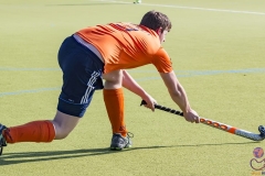 DSC_7465 (Large) Kopie (Large) (Small)