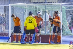 DSC_7514 (Large) Kopie (Large) (Small)