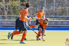 DSC_7539 (Large) Kopie (Large) (Small)