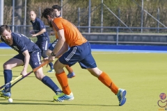 DSC_7541 (Large) Kopie (Large) (Small)