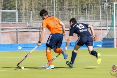 DSC_7550 (Large) Kopie (Large) (Small)