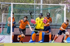 DSC_7567 (Large) Kopie (Large) (Small)