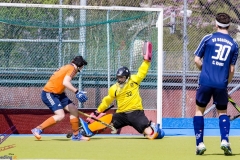 DSC_7571 (Large) Kopie (Large) (Small)