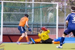 DSC_7572 (Large) Kopie (Large) (Small)