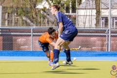 DSC_7580 (Large) Kopie (Large) (Small)