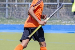 DSC_7582 (Large) Kopie (Large) (Small)