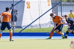 DSC_7627 (Large) Kopie (Large) (Small)