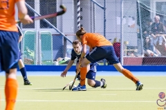 DSC_7636 (Large) Kopie (Large) (Small)